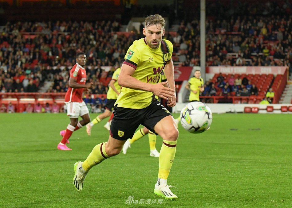 数据显示 数据显示